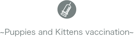 Puppies and Kittens vaccination